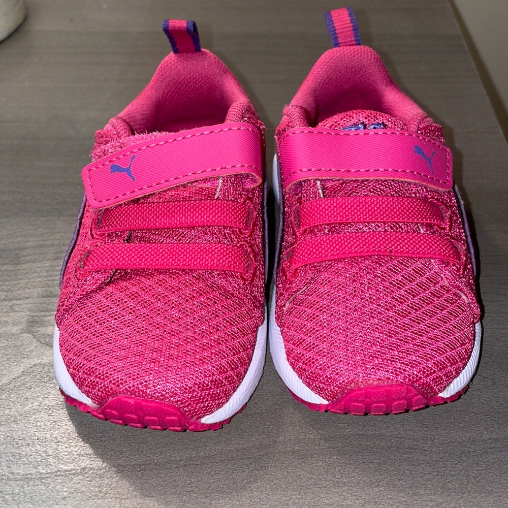 ⛔️SOLD⛔️ Baby Pumas!